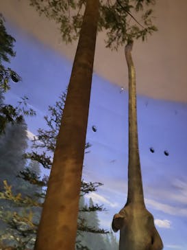 福井県立恐竜博物館に投稿された画像（2023/11/4）