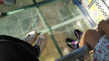 国営ひたち海浜公園プレジャーガーデンに投稿された画像（2023/11/4）