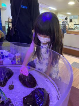 南知多ビーチランド＆南知多おもちゃ王国に投稿された画像（2023/11/4）