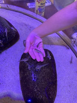 南知多ビーチランド＆南知多おもちゃ王国に投稿された画像（2023/11/4）