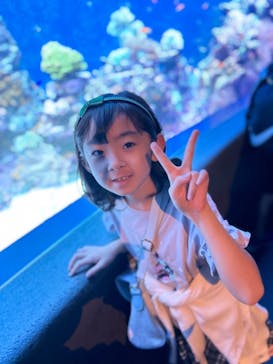 サンシャイン水族館に投稿された画像（2023/11/4）