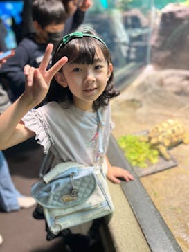 サンシャイン水族館に投稿された画像（2023/11/4）