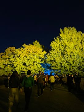 国営昭和記念公園 秋の夜散歩に投稿された画像（2023/11/4）