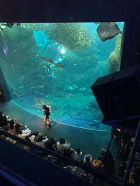 新江ノ島水族館に投稿された画像（2023/11/4）