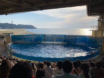 新江ノ島水族館に投稿された画像（2023/11/4）