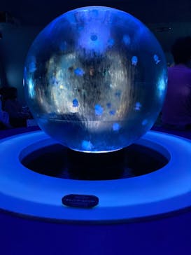 新江ノ島水族館に投稿された画像（2023/11/4）