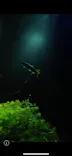 サンシャイン水族館に投稿された画像（2023/11/4）