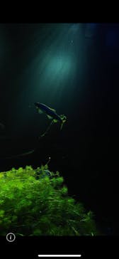 サンシャイン水族館に投稿された画像（2023/11/4）