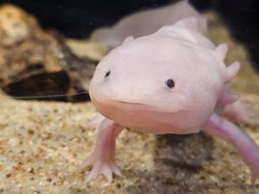 しながわ水族館に投稿された画像（2023/11/4）