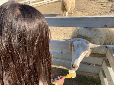 NESTA RESORT KOBE（ネスタリゾート神戸）に投稿された画像（2023/11/4）
