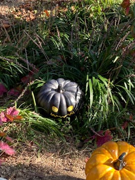 NESTA RESORT KOBE（ネスタリゾート神戸）に投稿された画像（2023/11/4）