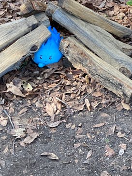 NESTA RESORT KOBE（ネスタリゾート神戸）に投稿された画像（2023/11/4）