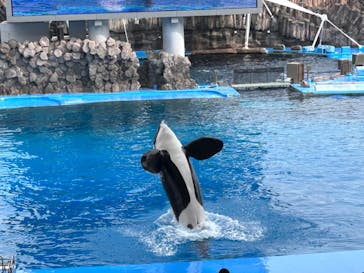 名古屋港水族館に投稿された画像（2023/11/4）