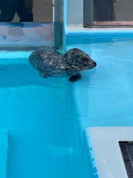 登別マリンパークニクスに投稿された画像（2023/11/4）