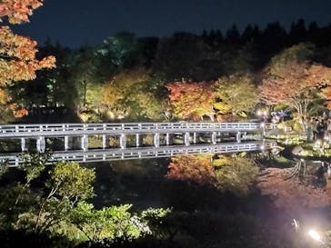 国営昭和記念公園 秋の夜散歩に投稿された画像（2023/11/4）