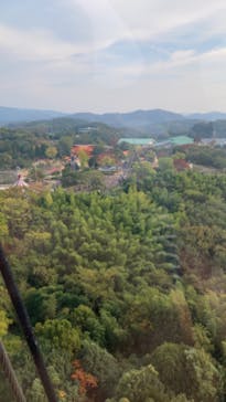 みろくの里に投稿された画像（2023/11/4）