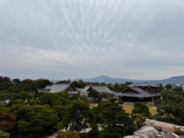 元離宮二条城に投稿された画像（2023/11/4）