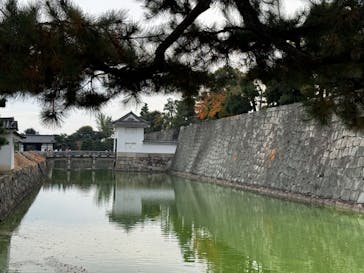 元離宮二条城に投稿された画像（2023/11/4）