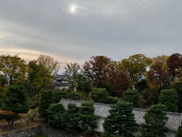 元離宮二条城に投稿された画像（2023/11/4）