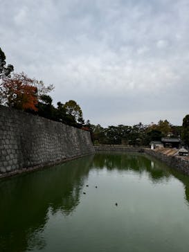 元離宮二条城に投稿された画像（2023/11/4）