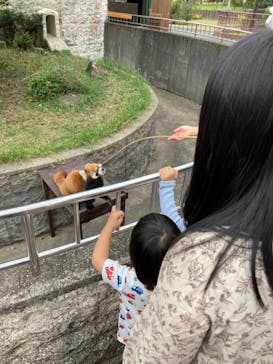 九十九島動植物園森きららに投稿された画像（2023/11/4）