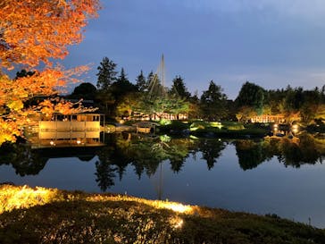 国営昭和記念公園 秋の夜散歩に投稿された画像（2023/11/4）