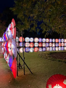 国営昭和記念公園 秋の夜散歩に投稿された画像（2023/11/4）