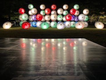 国営昭和記念公園 秋の夜散歩に投稿された画像（2023/11/4）