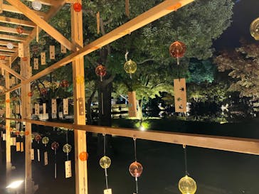 国営昭和記念公園 秋の夜散歩に投稿された画像（2023/11/4）