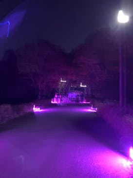 国営昭和記念公園 秋の夜散歩に投稿された画像（2023/11/4）