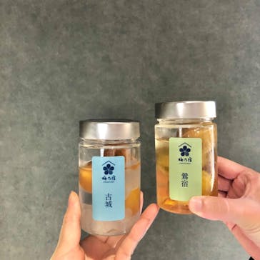 梅乃宿酒造　直営店に投稿された画像（2023/11/4）