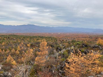鬼押出し園に投稿された画像（2023/11/4）
