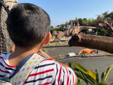 伊豆ぐらんぱる公園に投稿された画像（2023/11/4）