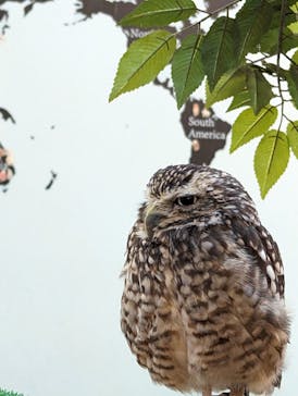 Moff アニマル カフェ イーアス 高尾店に投稿された画像（2023/11/4）