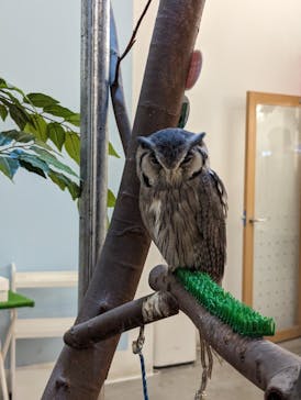 Moff アニマル カフェ イーアス 高尾店に投稿された画像（2023/11/4）