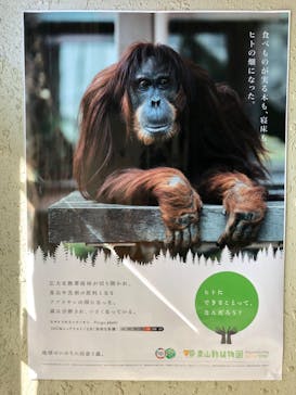名古屋市東山動植物園に投稿された画像（2023/11/4）