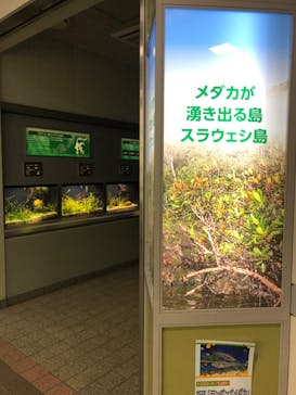 名古屋市東山動植物園に投稿された画像（2023/11/4）