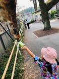 宇都宮動物園に投稿された画像（2023/11/4）