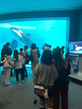 名古屋港水族館に投稿された画像（2023/11/4）