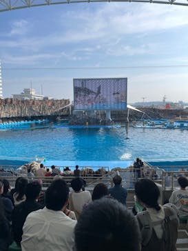 名古屋港水族館に投稿された画像（2023/11/4）