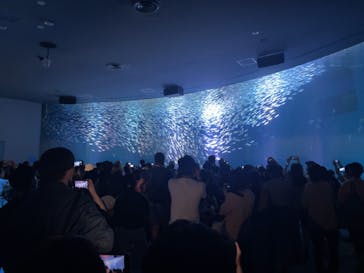 名古屋港水族館に投稿された画像（2023/11/4）