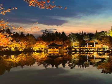 国営昭和記念公園 秋の夜散歩に投稿された画像（2023/11/4）
