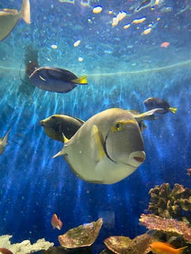 城崎マリンワールドに投稿された画像（2023/11/4）