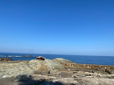 城崎マリンワールドに投稿された画像（2023/11/4）