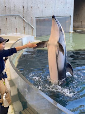 城崎マリンワールドに投稿された画像（2023/11/4）