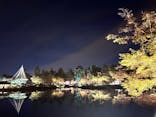国営昭和記念公園 秋の夜散歩に投稿された画像（2023/11/4）