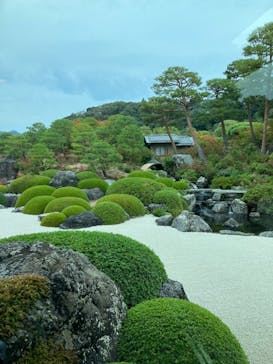 足立美術館に投稿された画像（2023/11/4）