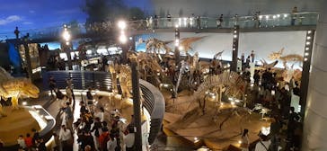 福井県立恐竜博物館に投稿された画像（2023/11/4）