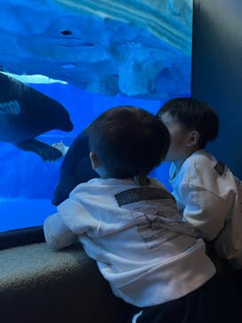 サンシャイン水族館に投稿された画像（2023/11/4）