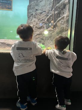 サンシャイン水族館に投稿された画像（2023/11/4）